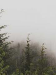 One Pregnancy, Two B