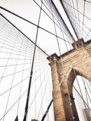 My pets are all amaz