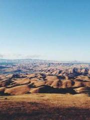 Rong Zhao Nanning Yu