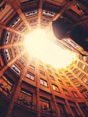 The Realm of the Dao