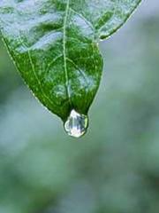 Yet, I became a powe