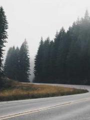 Yellow Spring Expres