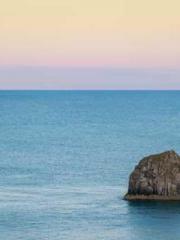 The Wife of My Heart