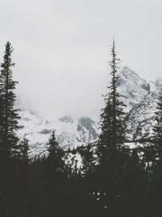 lt;lt;lt;lt;Yearning