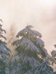 The Realm of the Dao