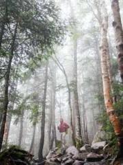 Crossing the Great Q