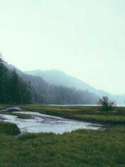 [Fast Travel] Posses
