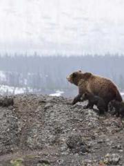 My seven stunning an