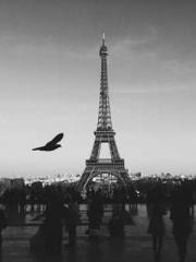 Saintly Gate Venerab