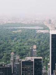 lt;lt;lt;lt;Yearning