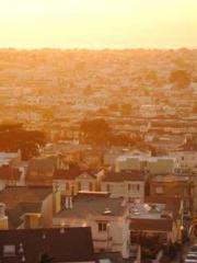 Transmigration: Feel